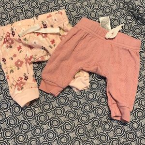 Preemie floral pants